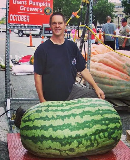 🍉Lazy Man's Watermelon Seeds
