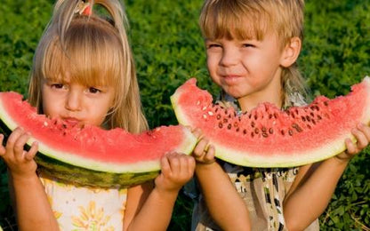 🍉Lazy Man's Watermelon Seeds