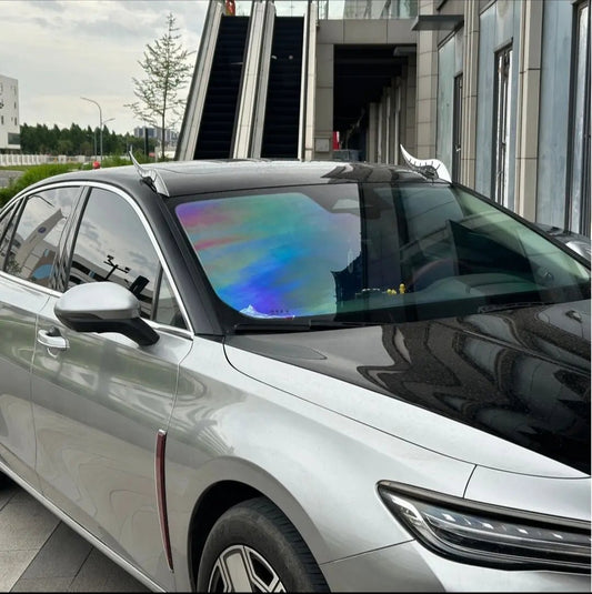 New dragon horn car exterior decoration,Arc light speed flow fin - VelosoleNew dragon horn car exterior decoration,Arc light speed flow fincar - accessories